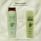 Naturali Dandruff Defence Shampoo with Tea Tree Oil & Cactus Extracts