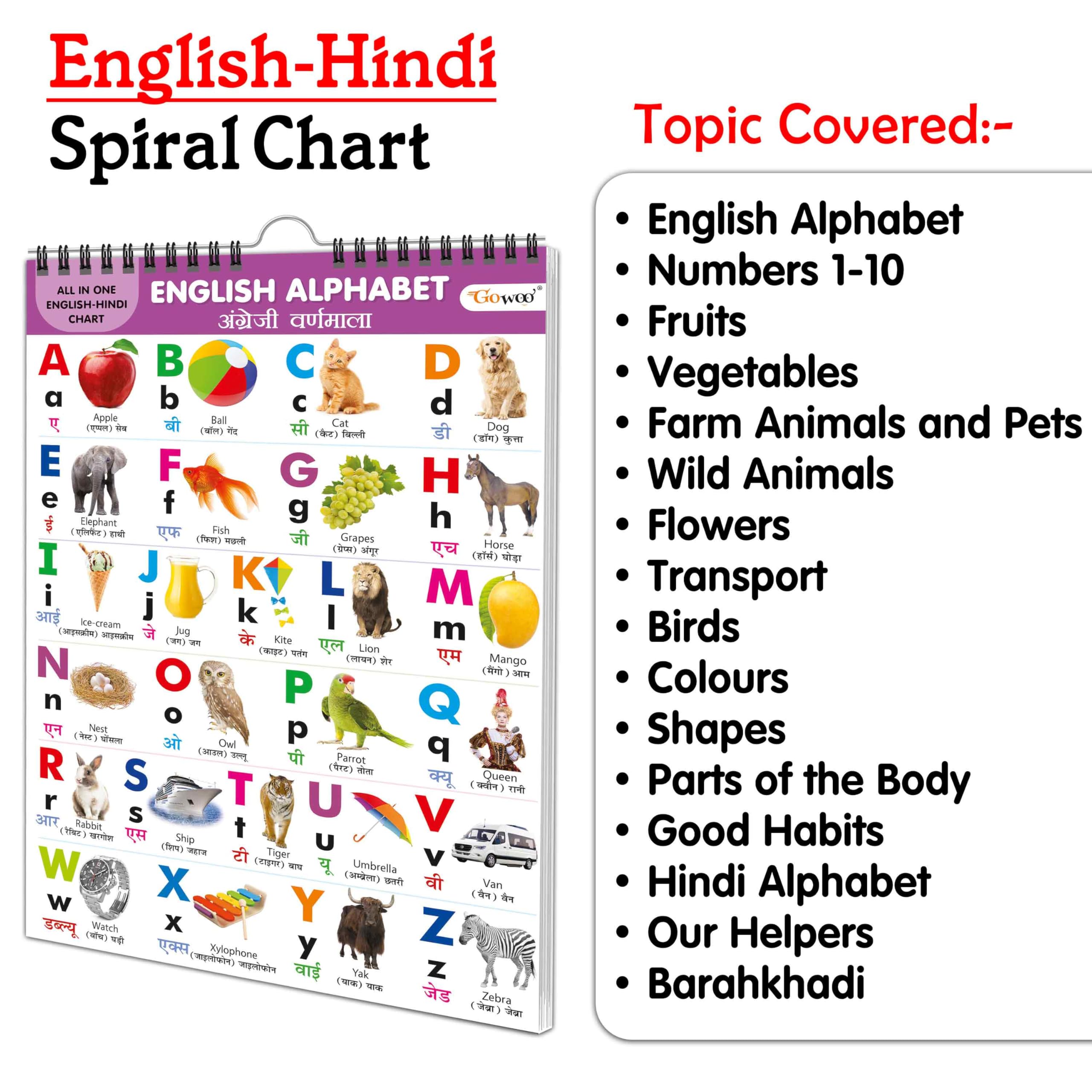 ENGLISH-HINDI Chart For Kids (16 Charts ) 36 x 50 cm - Children Spiral Wall Picture Chart