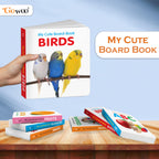 Pocket Board Book Set of ABC, Numbers, Fruits, Vegetables, Wild Animals, Birds - Kids educational board book, Preschool learning books, Preschool Kids Books Children | books