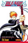 Bleach 01