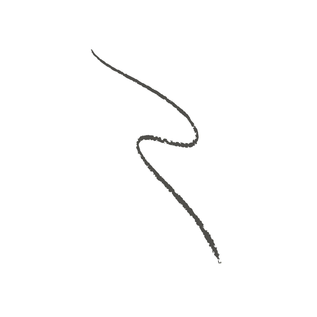 Swiss Beauty Micro Precision Eyebrow Pencil - 04 Grey Black