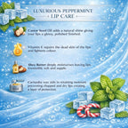 CUFFS N LASHES Lush Lips Intensive Recovery Lip Mask - Mr Peppermint - Distacart