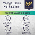 Care Moringa & Giloy Green Tea Bags with Spearmint - Distacart