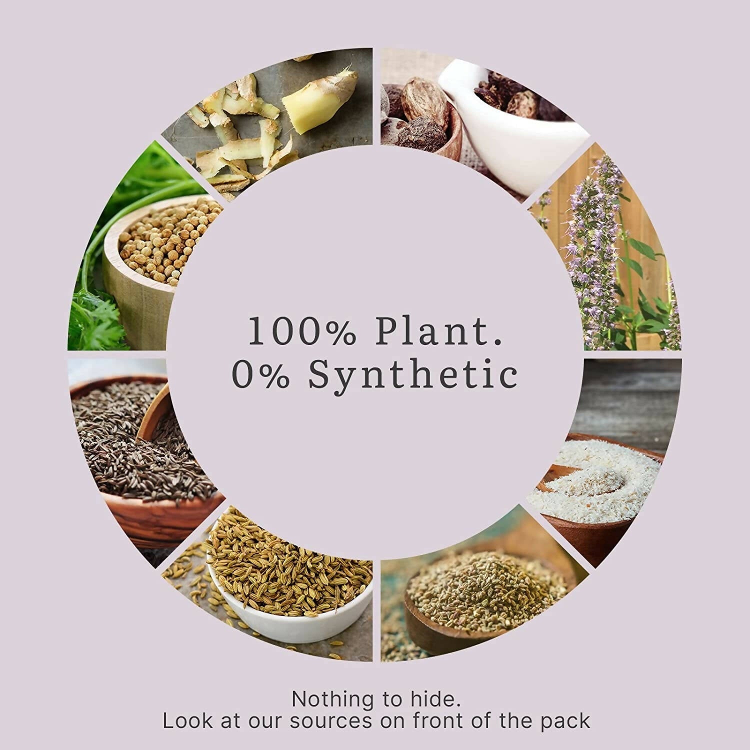 Earthful Gut Health Supplement - 100% Plant Based - Distacart