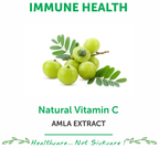 Bliss Welness Immune Health Natural Vitamin C Amla Extract Veg Tablet