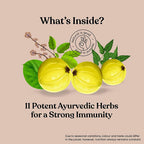 Kapiva Ayurveda Immune Care Juice
