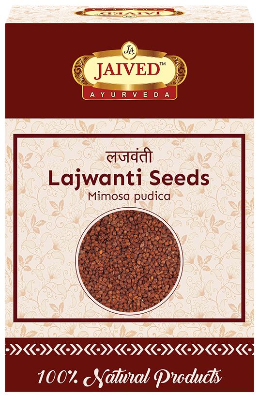Jaived Ayurveda Sensitive Plant Lajwanti Seeds