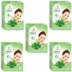 Vedsun Naturals Mint Face Pack