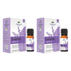 Vedsun Naturals Lavender Essential Oil