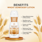 Nuerma Science Wheat Germ Body Lotion to Moisturize & Nourishes Skin