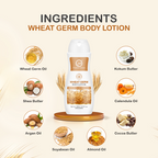 Nuerma Science Wheat Germ Body Lotion to Moisturize & Nourishes Skin