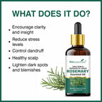 She Essentials Rosemary Essential Oil For Hair Growth & Longer Hair - 100% Pure & Natural