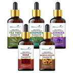 She Essentials Rosemary, Teatree, Rose, Lavender & Sandal Essentials Oil (Set Of 5)