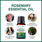 She Essentials Rosemary, Jojoba & Tea Tree Essential Oil For Hair Growth, Acne & Dandruff