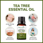 She Essentials Rosemary, Jojoba & Tea Tree Essential Oil For Hair Growth, Acne & Dandruff