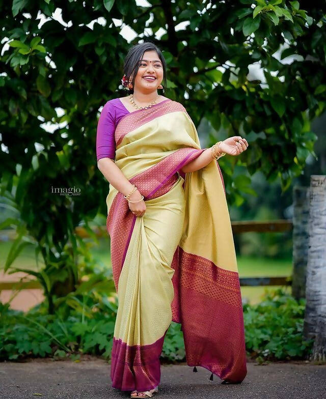DEIANA'S Beautiful Designer Golden zari Soft Lichi Silk Saree - Pista