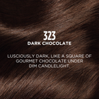 L'Oreal Paris Casting Creme Gloss Conditioning Hair Color - Dark Chocolate 323
