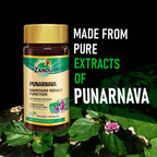 Zandu Punarnava Capsules - Distacart