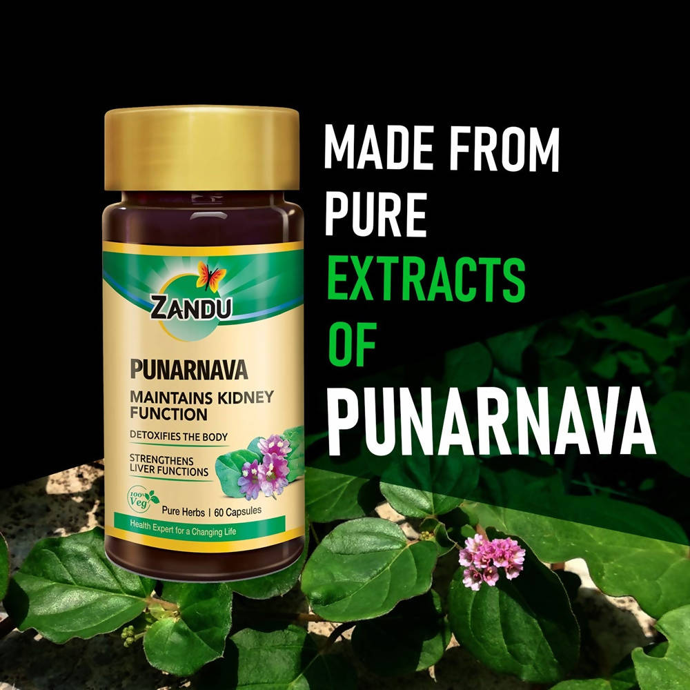 Zandu Punarnava Capsules - Distacart