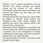 Satvi Wellness Mix Flower Drink | Mixed Flower tea - Distacart