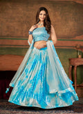 Wedding Designer Sky Nylon Georgette Readymade Lehenga Choli - Anbazaar - Distacart