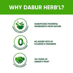 Dabur Herb'l Tulsi - Anti-Bacterial Toothpaste