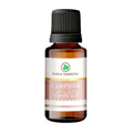 Korus Essential Camphor Essential Oil - Therapeutic Grade