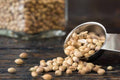 Freshon Coriander Whole Premium
