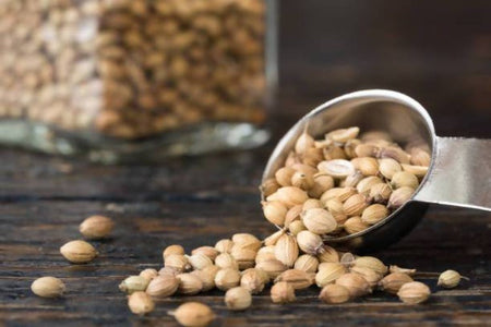 Freshon Coriander Whole Premium