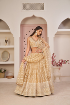 Eilara Women'S Beige Butterfly Net Thread Embroidered Work Designer Lehenga Choli