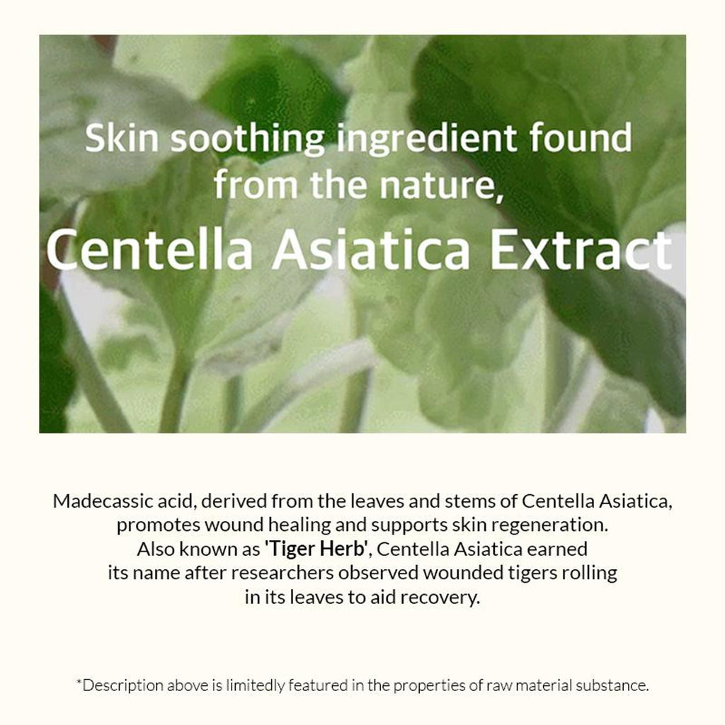 Mixsoon Soondy Centella Asiatica Essence, Calms Redness, Hydrates & Repairs Skin Barrier