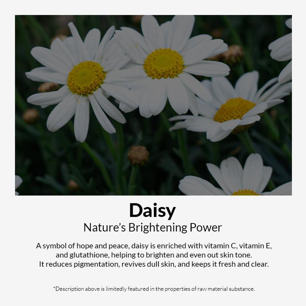 Mixsoon Korean Daisy Essence