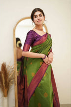 DEIANA'S Beautiful Designer Golden zari Soft Lichi Silk Saree - Mehndi