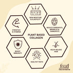 Mountainor Plant-Based Collagen Builder Capsules - Distacart