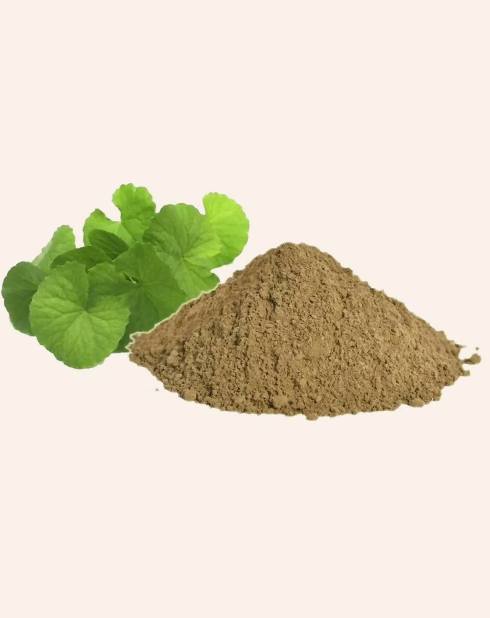 Simandhar Brahmi Powder