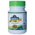 Wilson Gokhru Tribulus Terrestris Powder