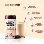 Dr. Morepen Weight Gainer - Chocolate Flavor - Distacart