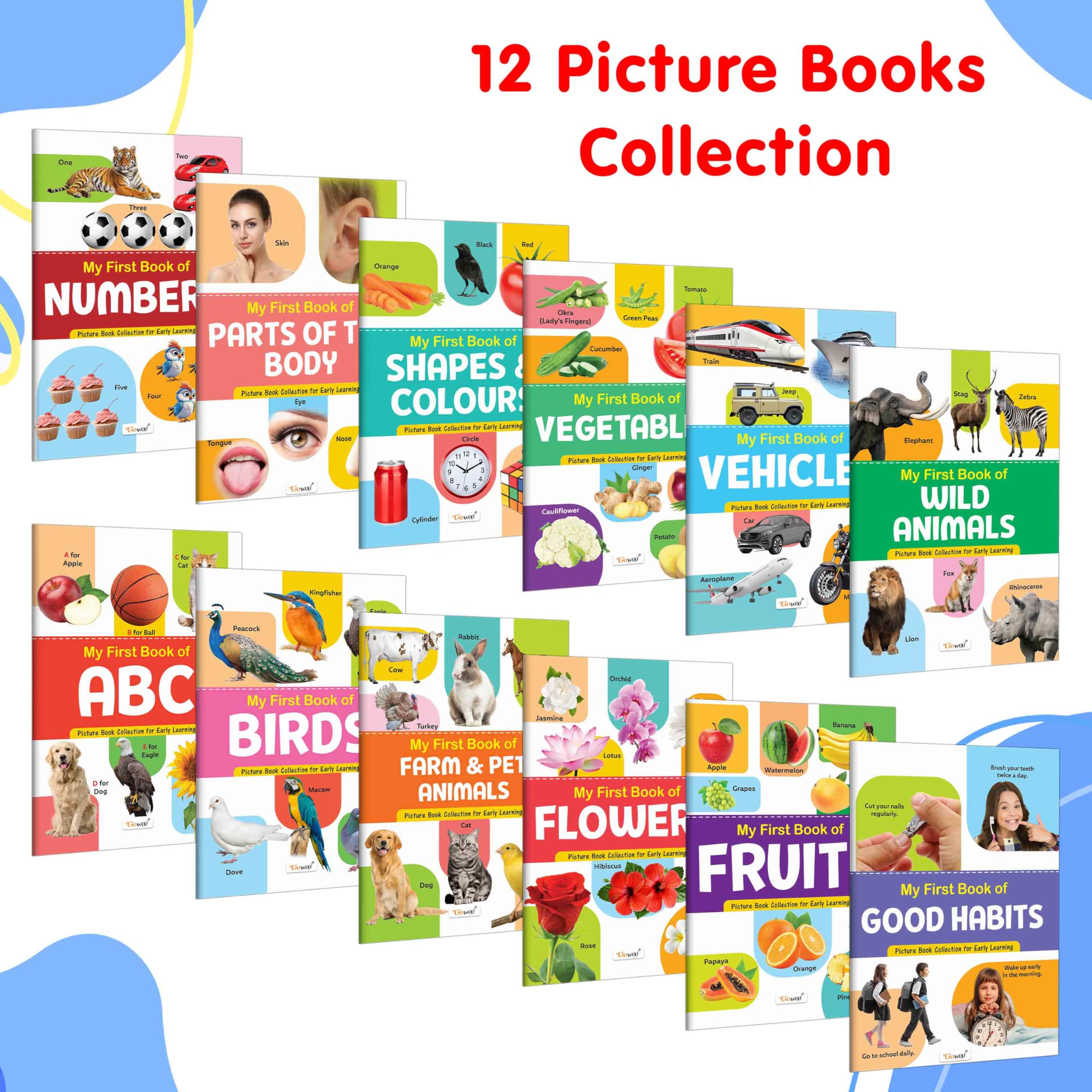 My First Picture Book Collection For Early Learning : Books For Children, Learning Picture Library For Kids, Toddler book, Early learning book With 12 Topics