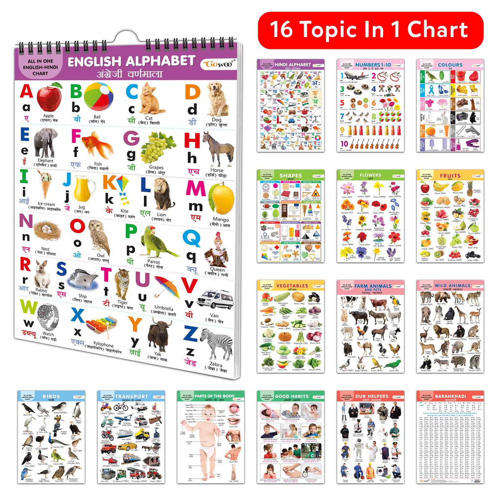 ENGLISH-HINDI Chart For Kids (16 Charts ) 36 x 50 cm - Children Spiral Wall Picture Chart
