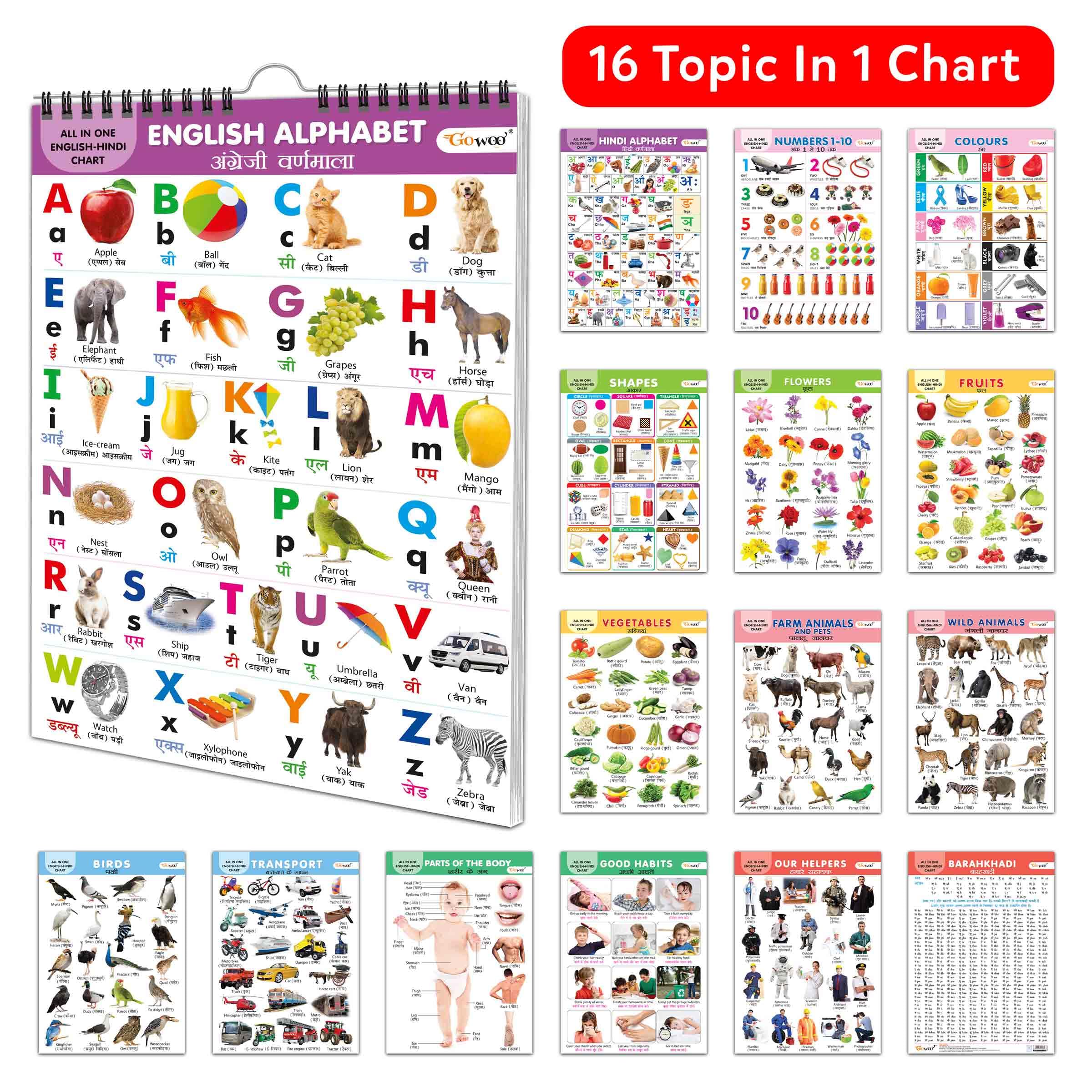 ENGLISH-HINDI Chart For Kids (16 Charts ) 36 x 50 cm - Children Spiral Wall Picture Chart