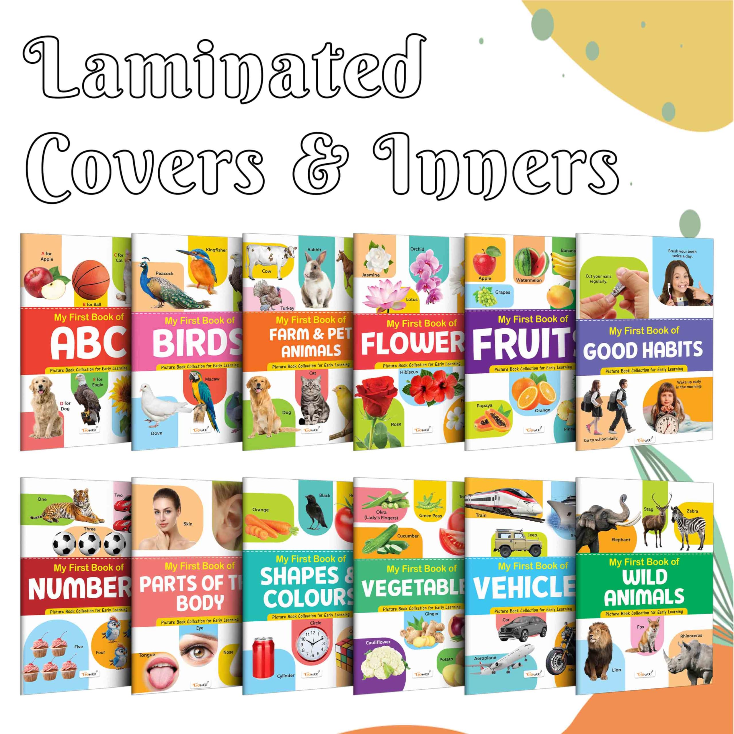 My First Picture Book Collection For Early Learning : Books For Children, Learning Picture Library For Kids, Toddler book, Early learning book With 12 Topics
