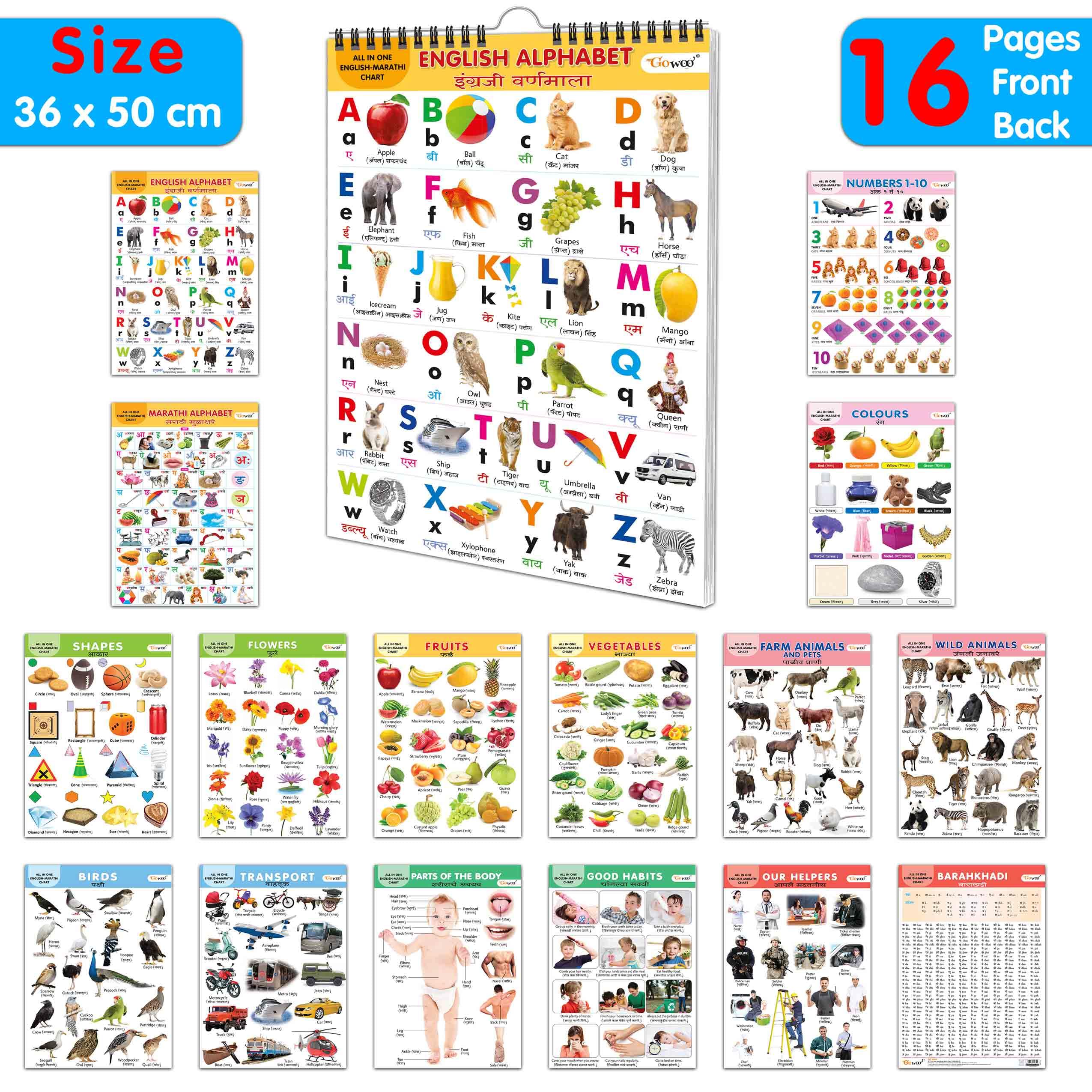 ENGLISH-MARATHI Chart For Kids (16 Charts ) 36 x 50 cm - Children Spiral Wall Picture Chart
