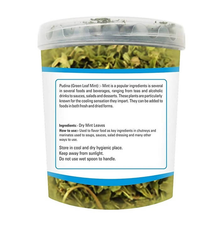 Zindagi Pudina Green Mint Dry Leaves