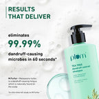 Plum Tea Tree Dandruff Control Shampoo, Paraben-Free with Piroctone Olamine