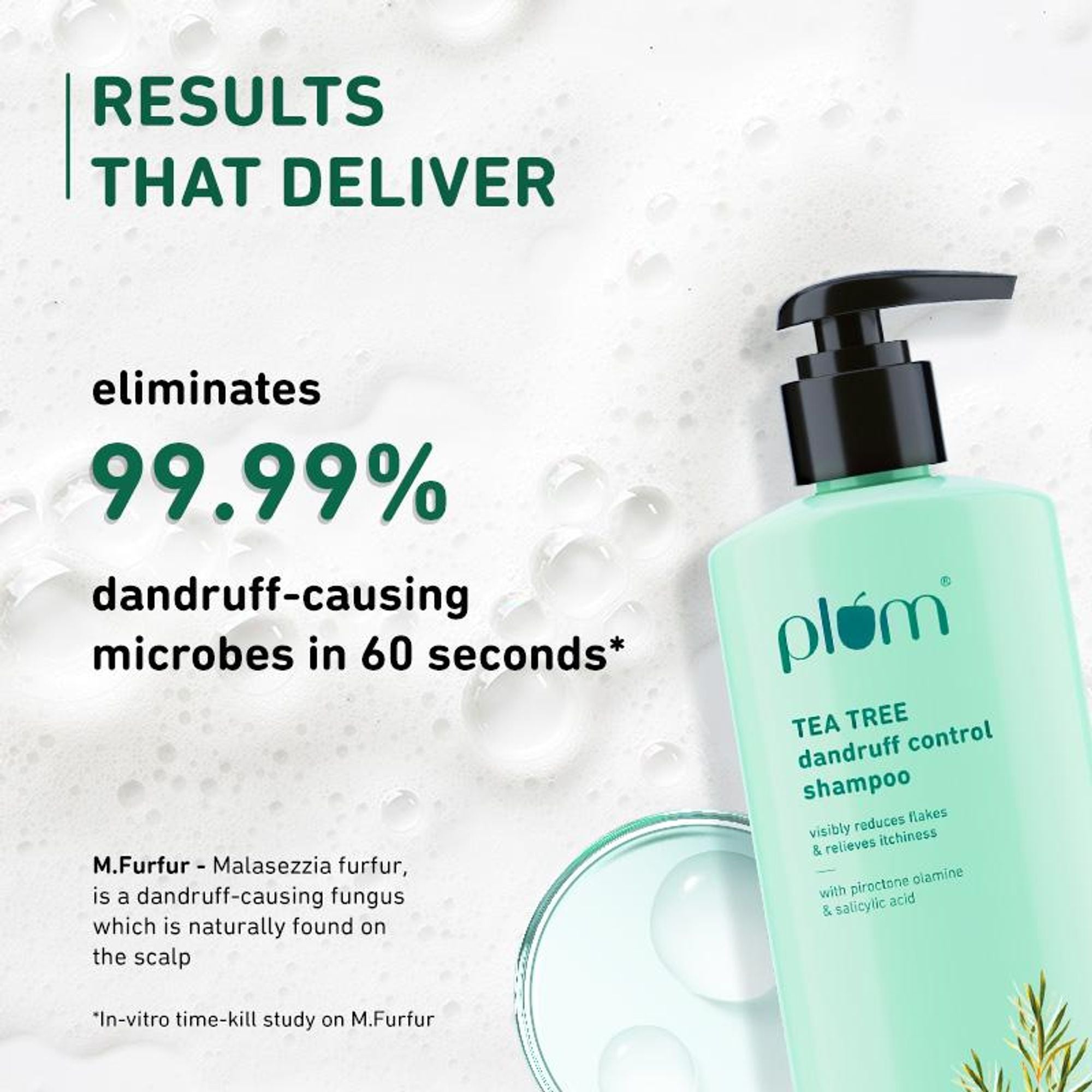 Plum Tea Tree Dandruff Control Shampoo, Paraben-Free with Piroctone Olamine