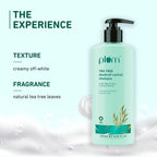 Plum Tea Tree Dandruff Control Shampoo, Paraben-Free with Piroctone Olamine