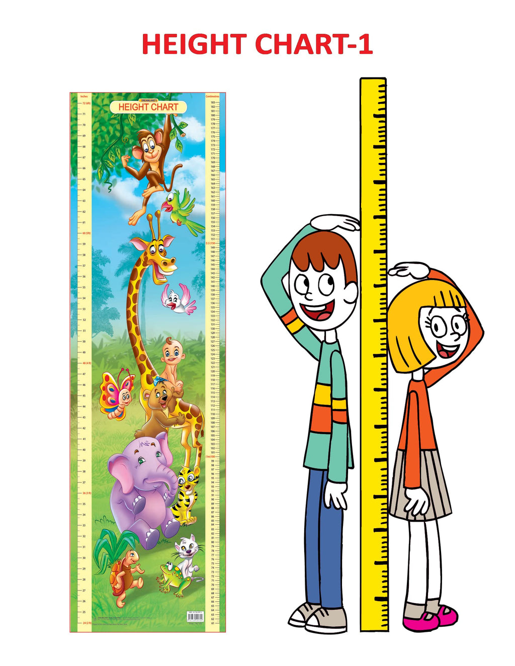 Dreamland Publications Educational Chart for Kids - Height Chart - 1 - Distacart
