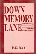 Down Memory Lane - Gyan Books - Distacart