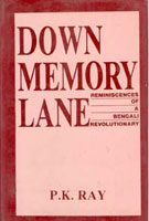 Down Memory Lane - Gyan Books - Distacart