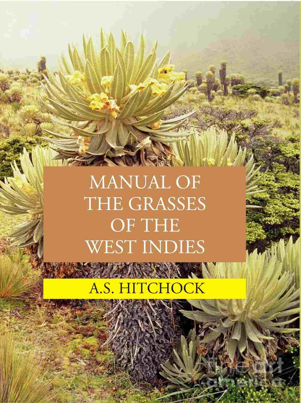 Manual Of The Grasses Of The West Indies - Gyan Books - Distacart